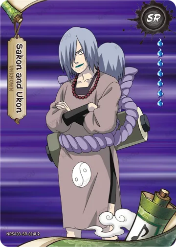 Sakon and Ukon — NRSA03-SR-014L2