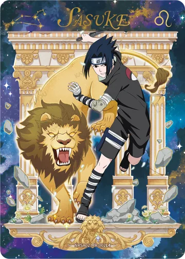 Sasuke — NRSA02-MR-002L4